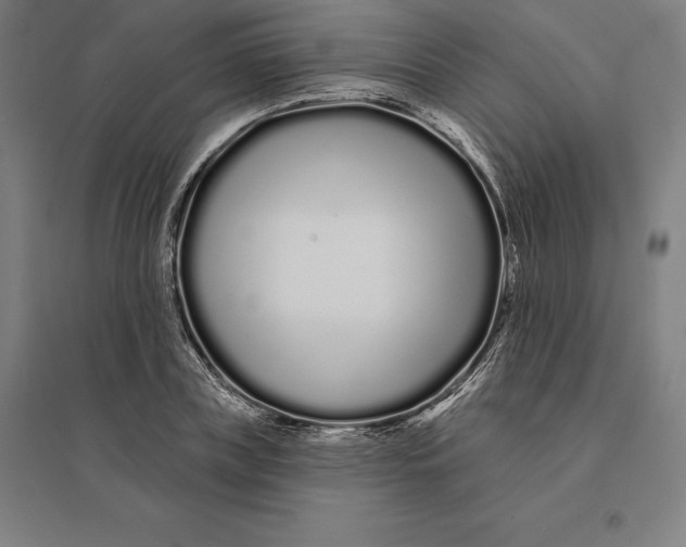 X0000095130835200712301822