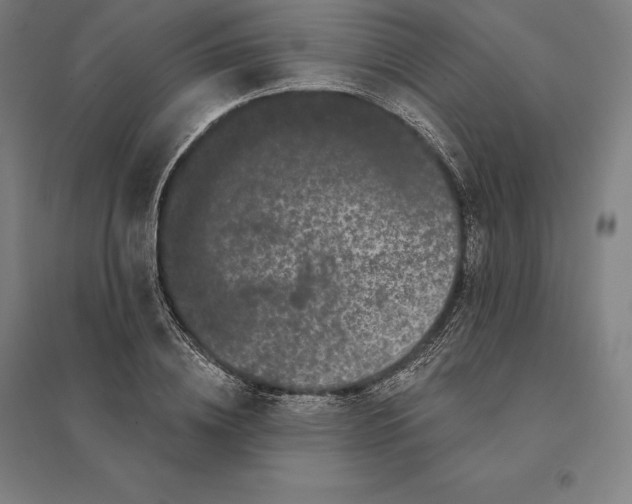 X0000095130836200712301822