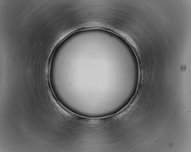 X0000095130839200712301822