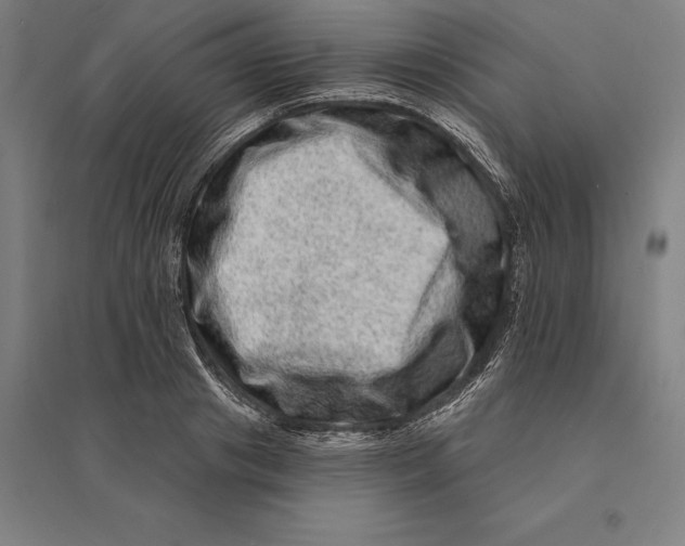 X0000095130841200712301822