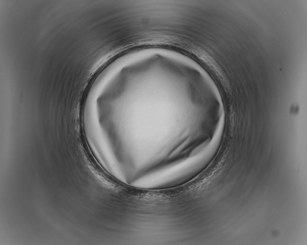 X0000095130842200712301822