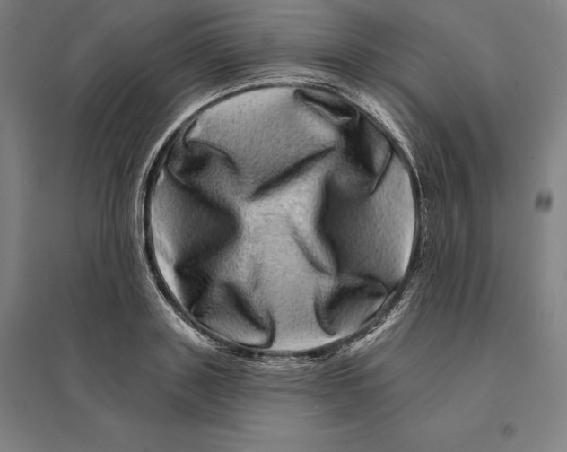 X0000095130843200712301822