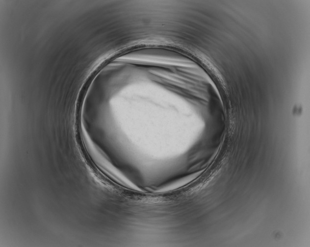 X0000095130845200712301822