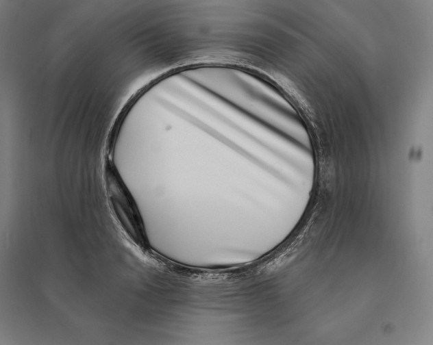 X0000095130846200712301822