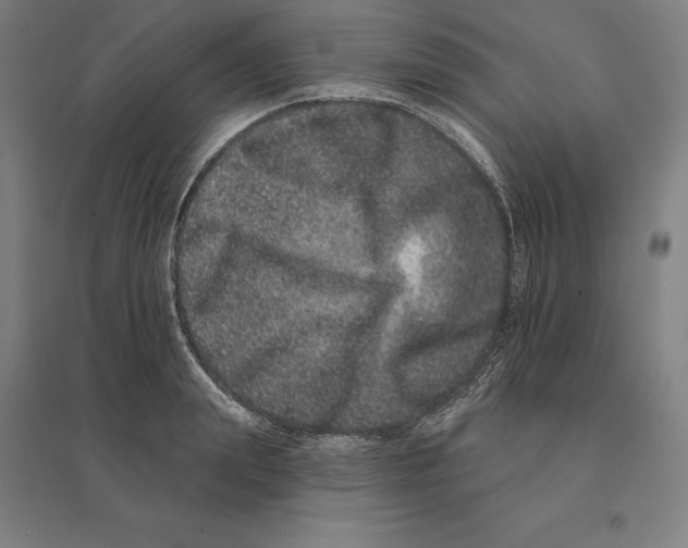 X0000095130847200712301823