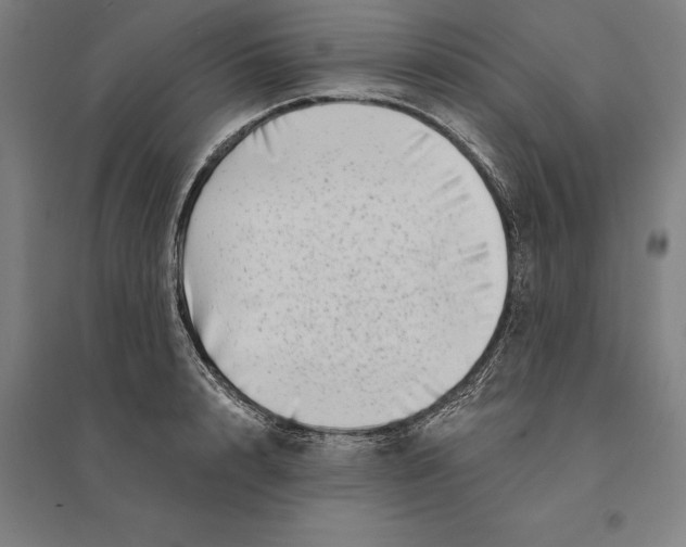 X0000095130848200712301823