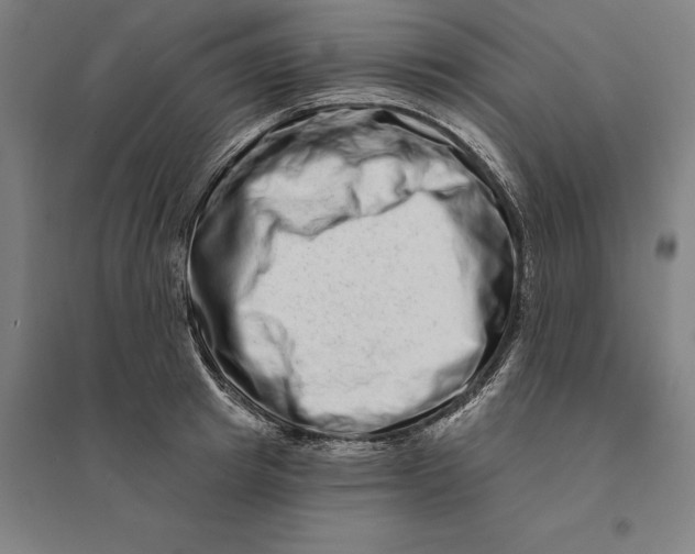 X0000095130849200712301823