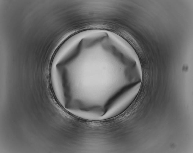 X0000095130852200712301823