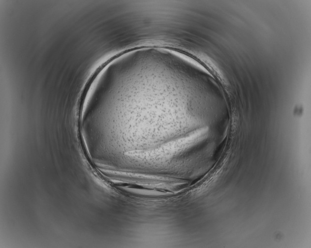 X0000095130854200712301823