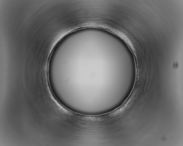 X0000095130855200712301823