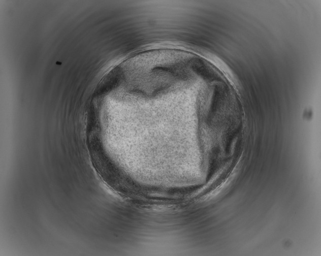 X0000095130857200712301823