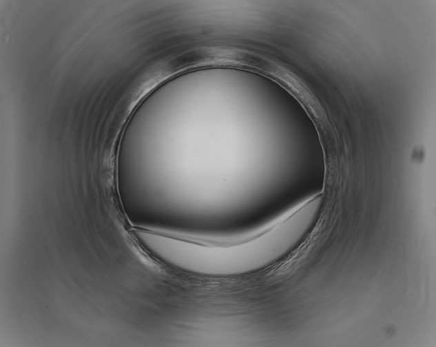 X0000095130858200712301823