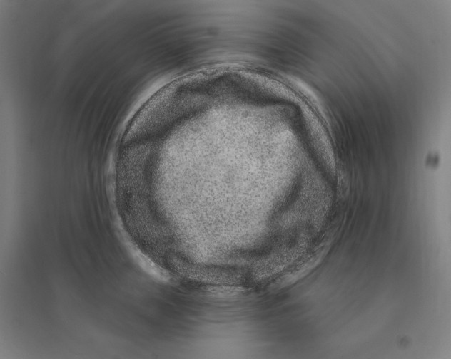 X0000095130859200712301823