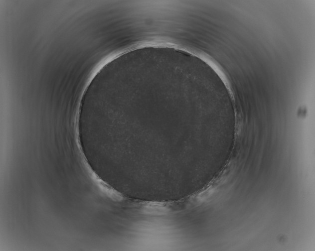 X0000095130861200712301823