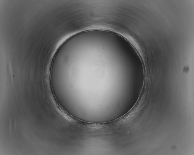 X0000095130862200712301823