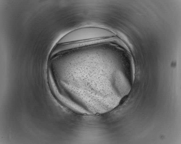 X0000095130863200712301823