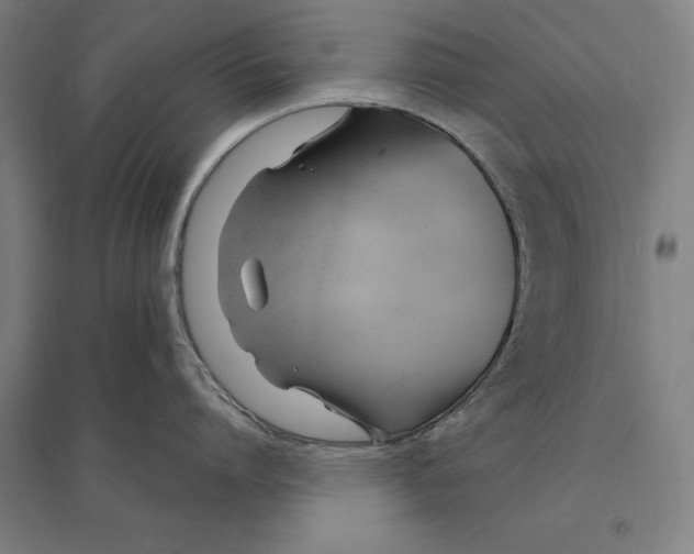 X0000095130864200712301823