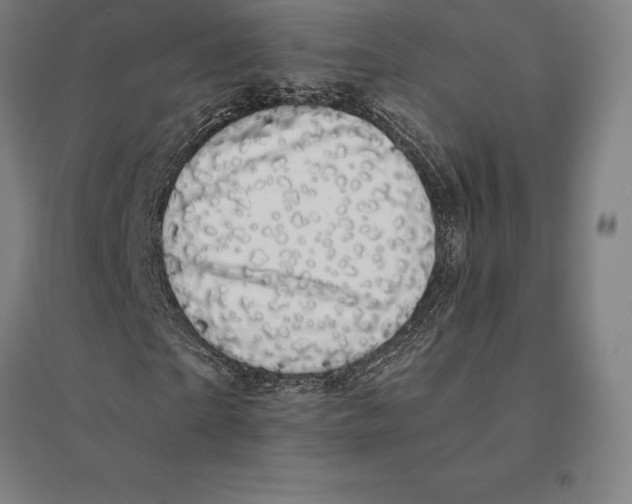 X0000095130865200712301822