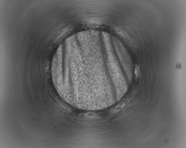 X0000095130867200712301822