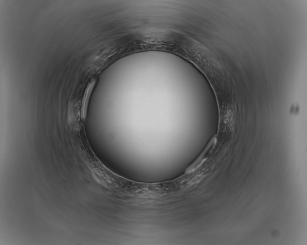 X0000095130868200712301822