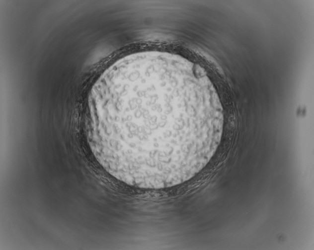 X0000095130869200712301822