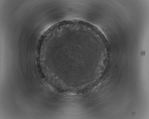 X0000095130871200712301822