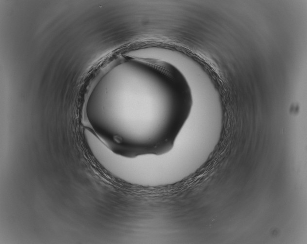 X0000095130872200712301822