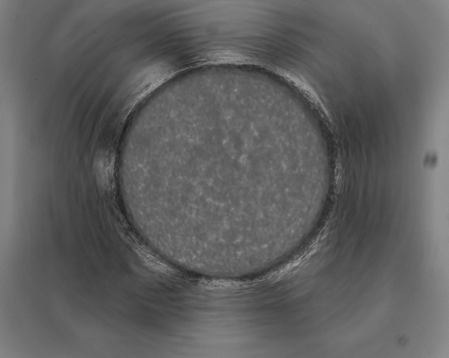 X0000095130873200712301822