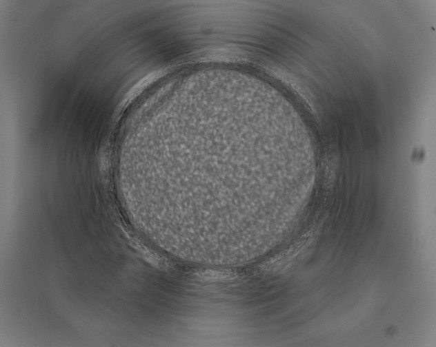 X0000095130874200712301822