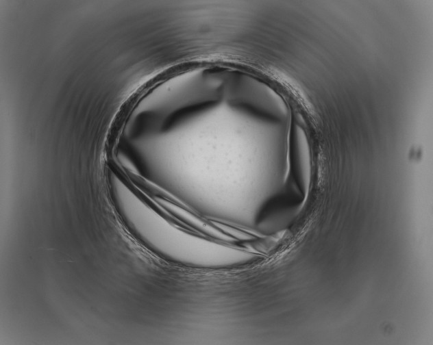 X0000095130876200712301822