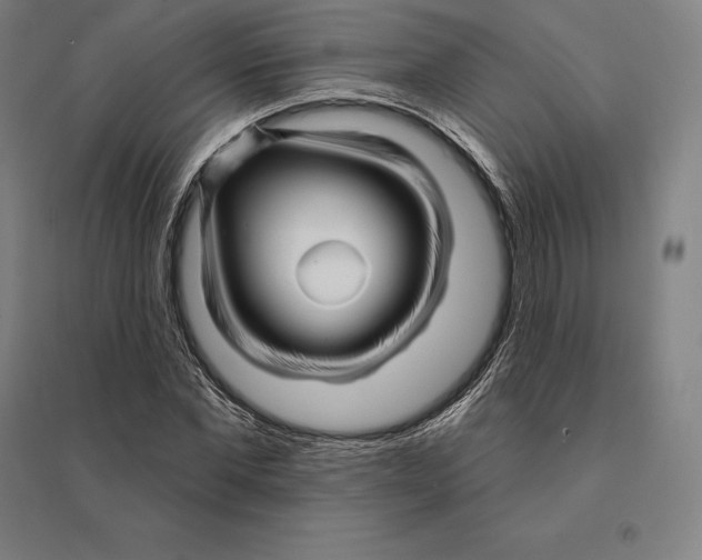 X0000095130877200712301822