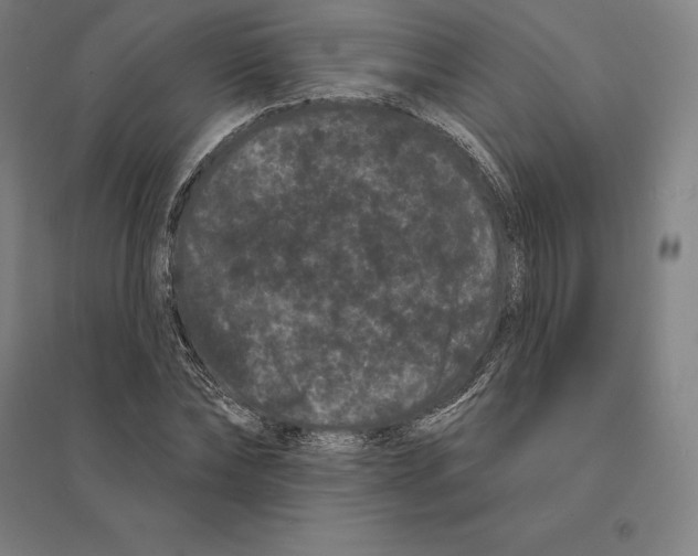 X0000095130878200712301822