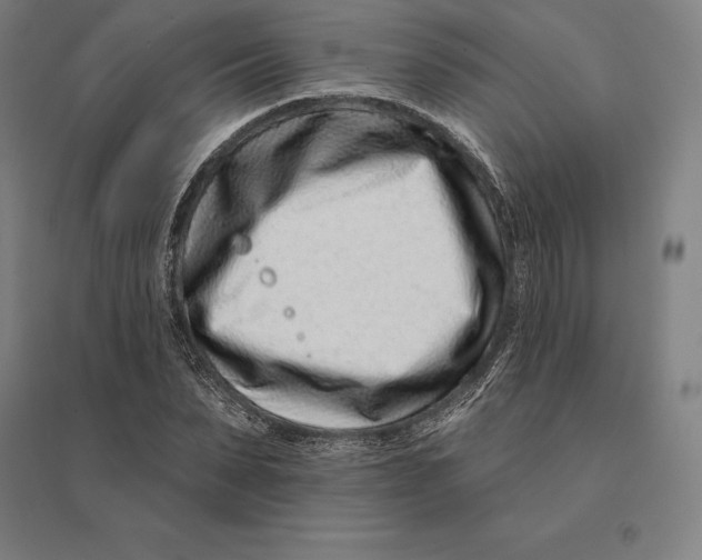 X0000095130879200712301822