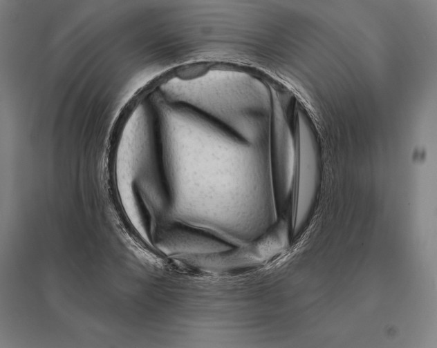 X0000095130880200712301822