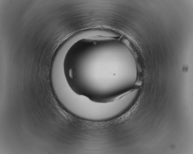 X0000095130881200712301822