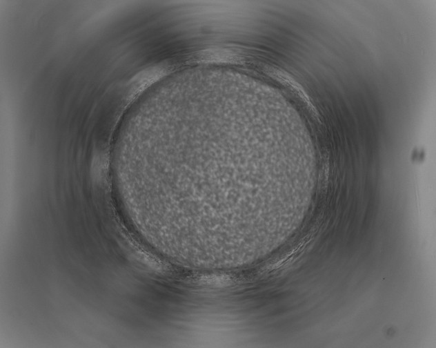 X0000095130882200712301822