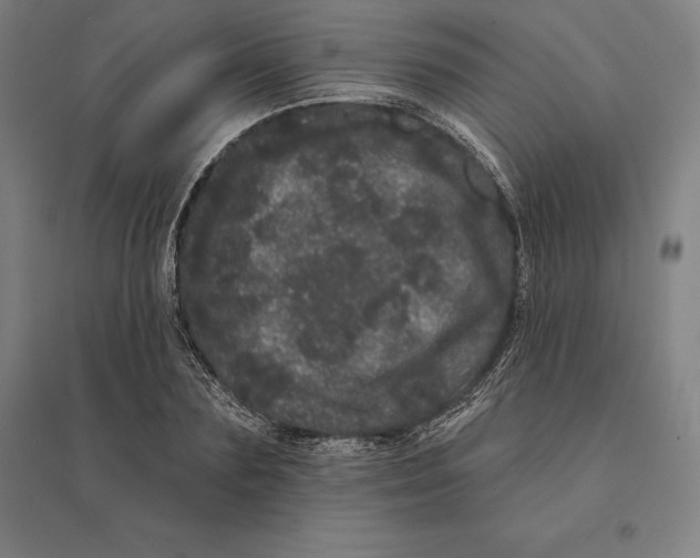 X0000095130883200712301822