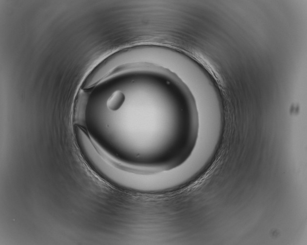 X0000095130884200712301822