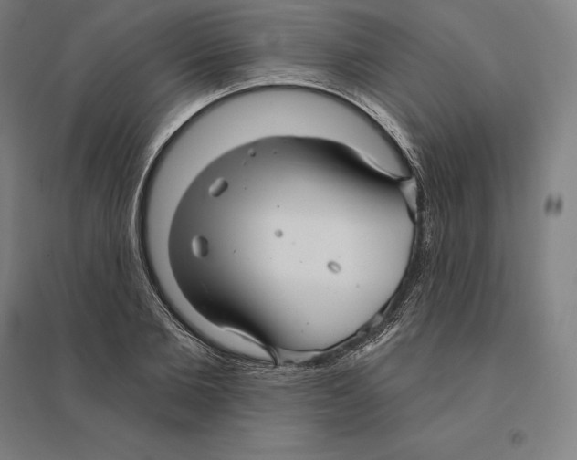 X0000095130885200712301822