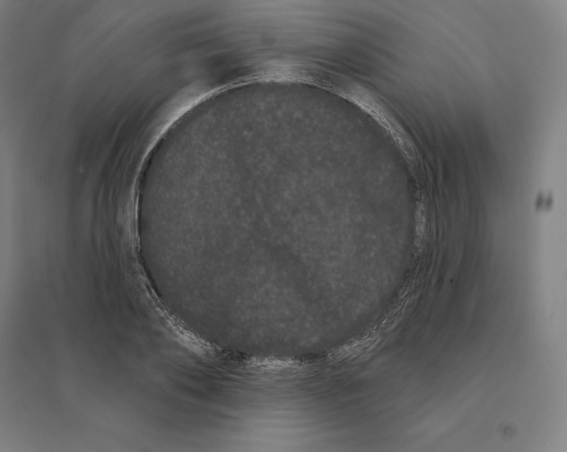 X0000095130886200712301822