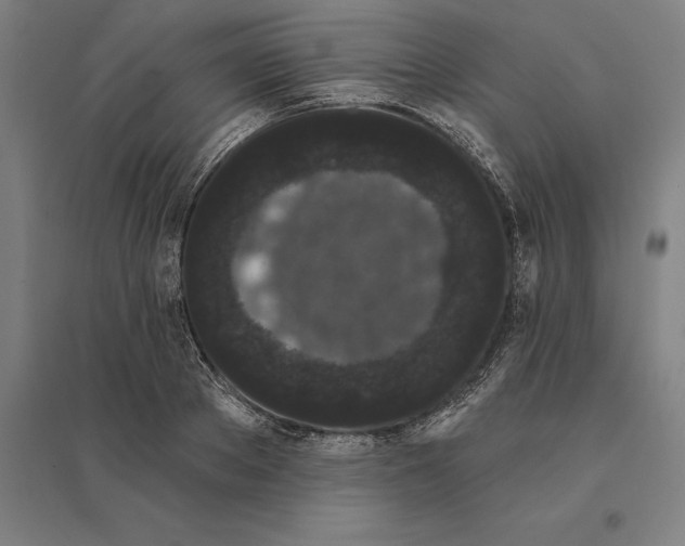 X0000095130889200712301822