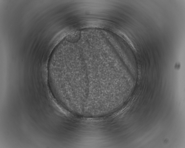 X0000095130890200712301822