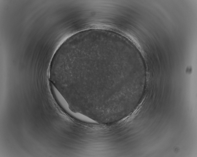 X0000095130891200712301822