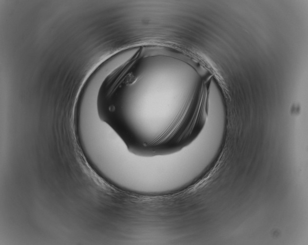 X0000095130892200712301822