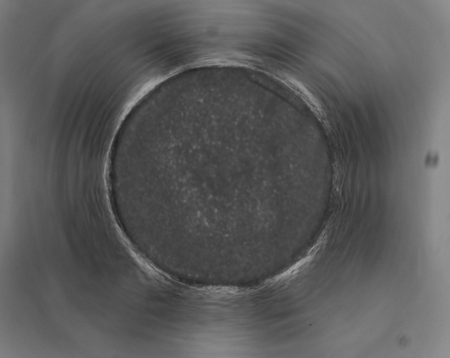 X0000095130893200712301822