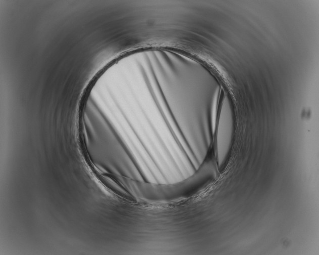 X0000095130894200712301822