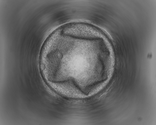 X0000095130895200712301822