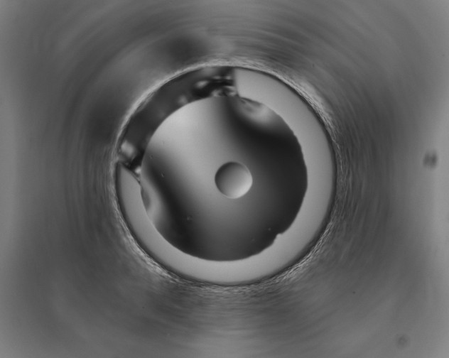 X0000095130896200712301822