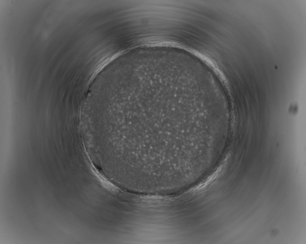 X0000095130897200712301822