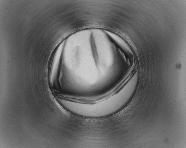 X0000095130898200712301822